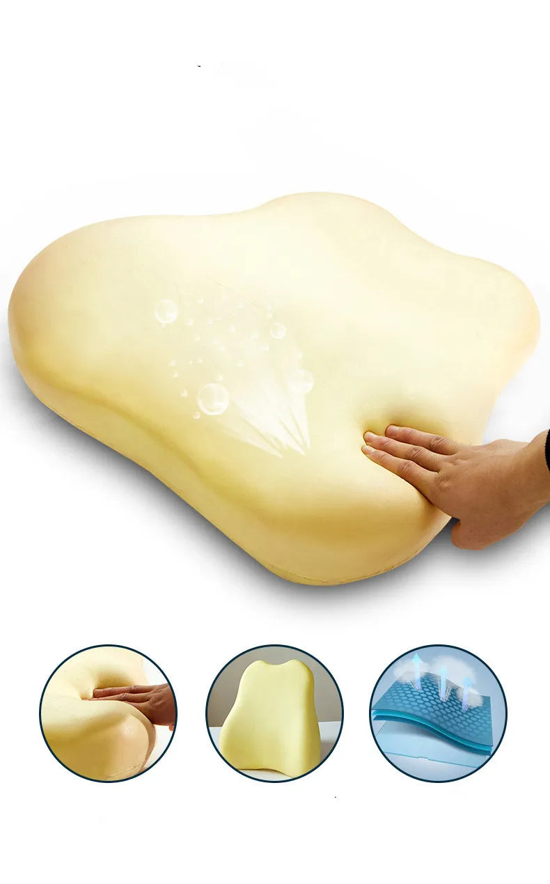 Coussin Dorsal Ergonomique à Mémoire de Forme - Confort et Soutien