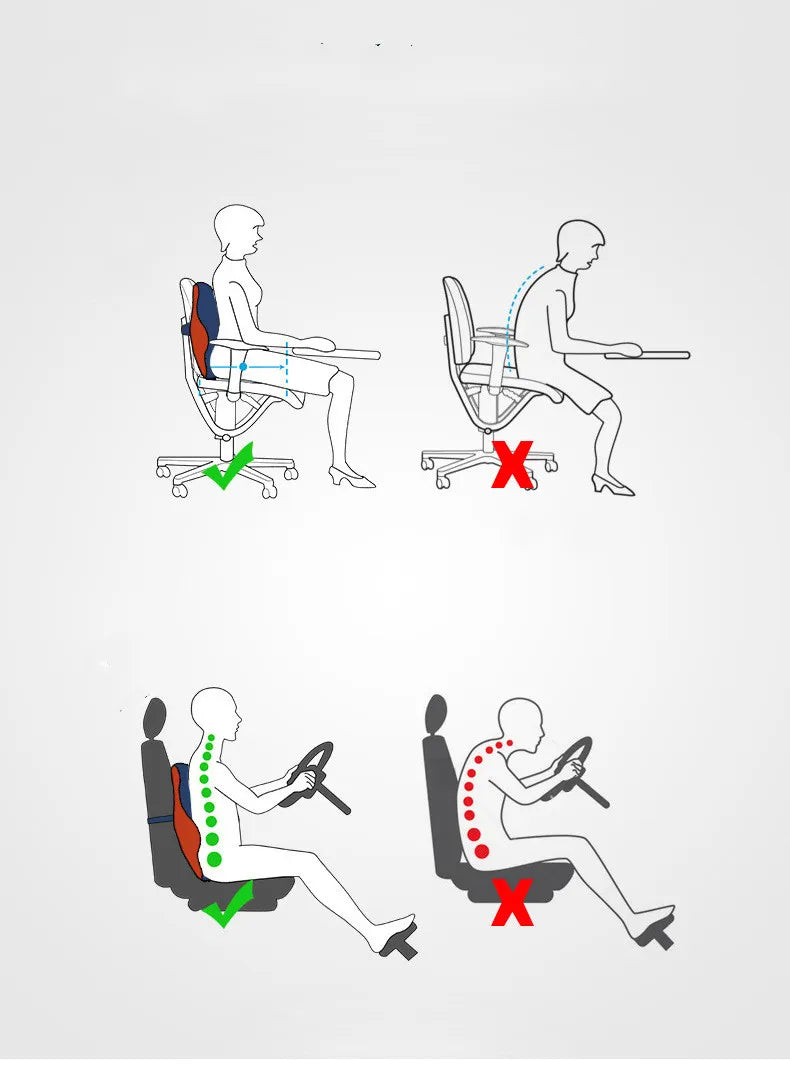 Coussin Dorsal Ergonomique à Mémoire de Forme - Confort et Soutien