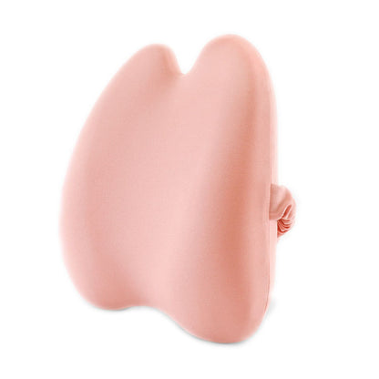 Coussin Dorsal à Mémoire de Forme - Confort et Soutien Postural