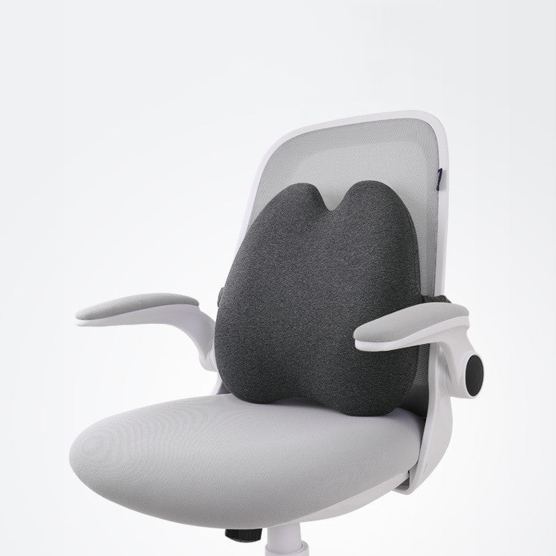 Coussin Dorsal à Mémoire de Forme - Confort et Soutien Postural
