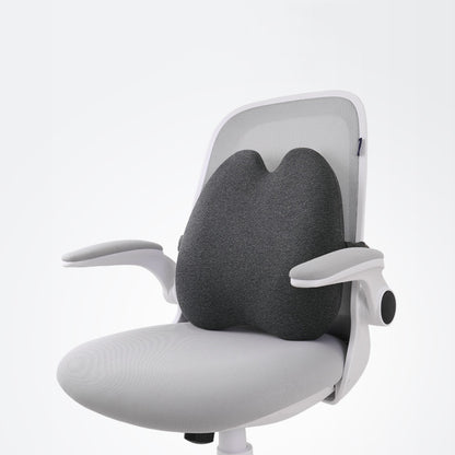 Coussin Dorsal à Mémoire de Forme - Confort et Soutien Postural