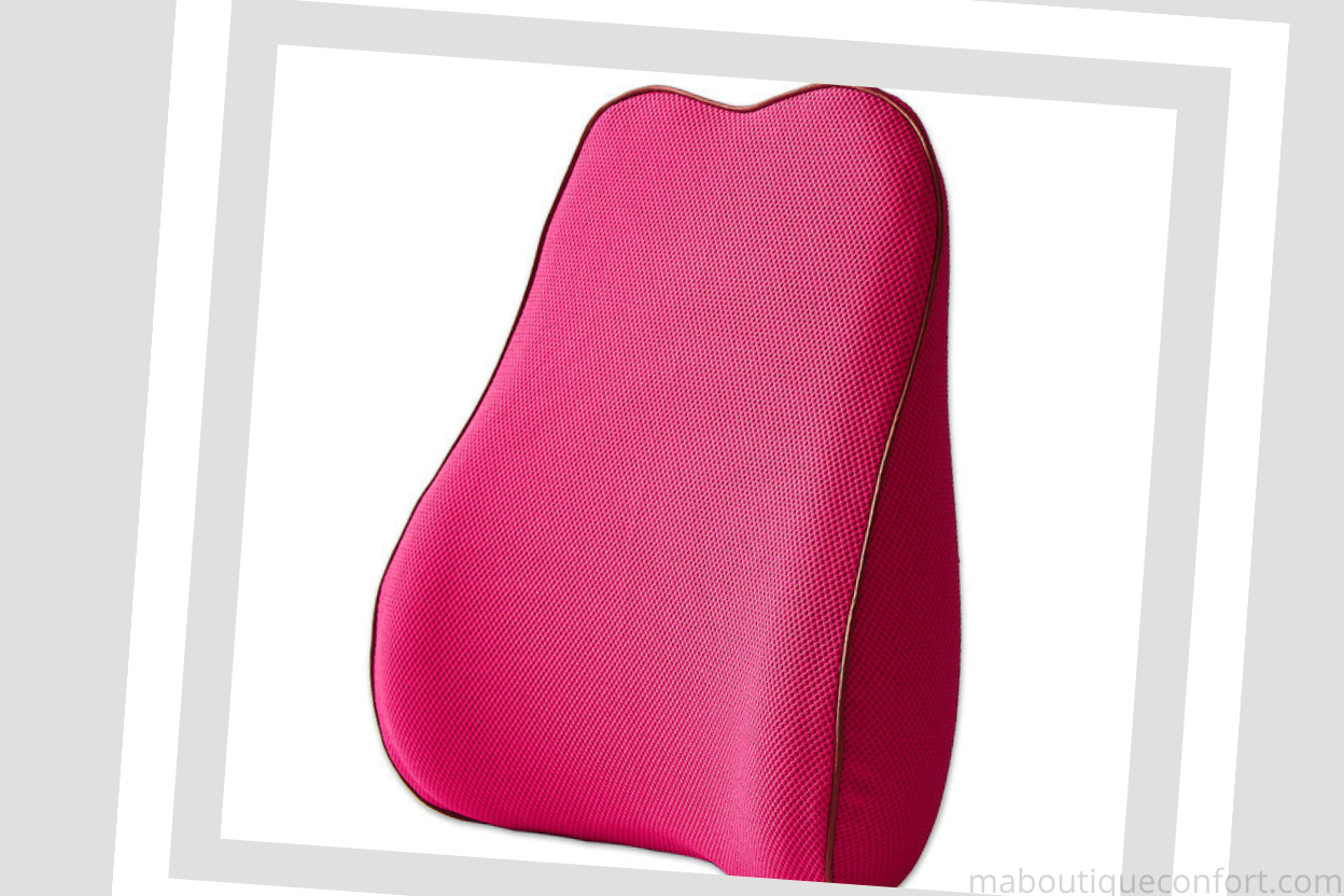 Coussin Dorsal Ergonomique à Mémoire de Forme - Confort et Soutien